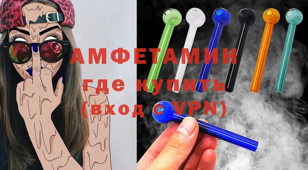 индика Горняк