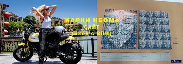 индика Горняк