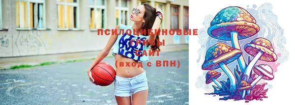 соль ск Вязьма